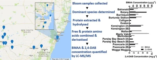 Detection Of The Suspected Neurotoxin B Methylamino L Alanine Bmaa In Cyanobacterial Blooms From Multiple Water Bodies In Eastern Australia Researcher An App For Academics