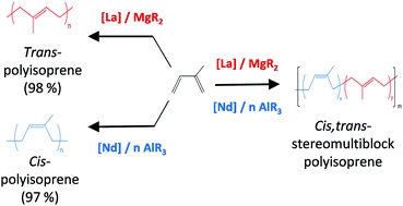 Isoprene chain shuttling polymerisation between cis and trans regulating catalysts: straightforward access to a new material