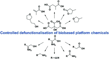 Controlled defunctionalisation of biobased organic acids