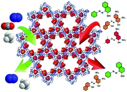 A nanoporous Ag(I) coordination polymer for selective adsorption of carcinogenic dye Acid Red 26