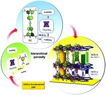 Liquid phase epitaxial growth of heterostructured hierarchical MOF thin films