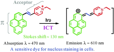Bright red-emitting pyrene derivatives with a large Stokes shift for nucleus staining