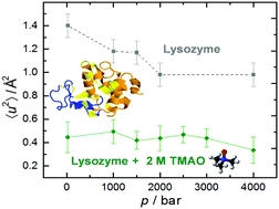 Influence of cosolvents, self-crowding, temperature and pressure on the sub-nanosecond dynamics and folding stability of lysozyme