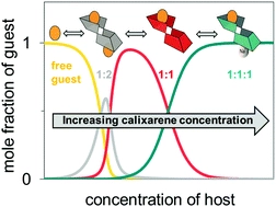 A journey from calix[4]arene to calix[6] and calix[8]arene reveals more than a matter of size. Receptor concentration affects the stability and stoichiometric nature of the complexes