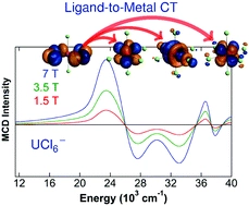 Magnetic circular dichroism of UCl6- in the ligand-to-metal charge-transfer spectral region