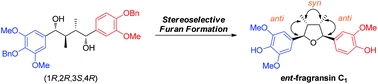 Asymmetric synthesis of ent-fragransin C1