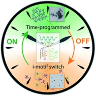 Temporal control of i-motif switch lifetimes for autonomous operation of transient DNA nanostructures