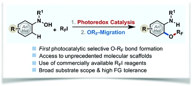 Selective C-O bond formation via a photocatalytic radical coupling strategy: access to perfluoroalkoxylated (ORF) arenes and heteroarenes