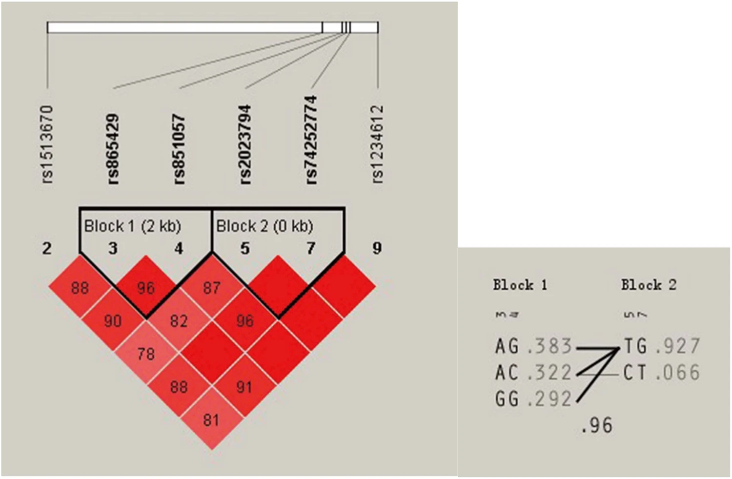 Association Between Sost Gene Polymorphisms And Response To Alendronate Treatment In Postmenopausal Chinese Women With Low Bone Mineral Density Researcher An App For Academics