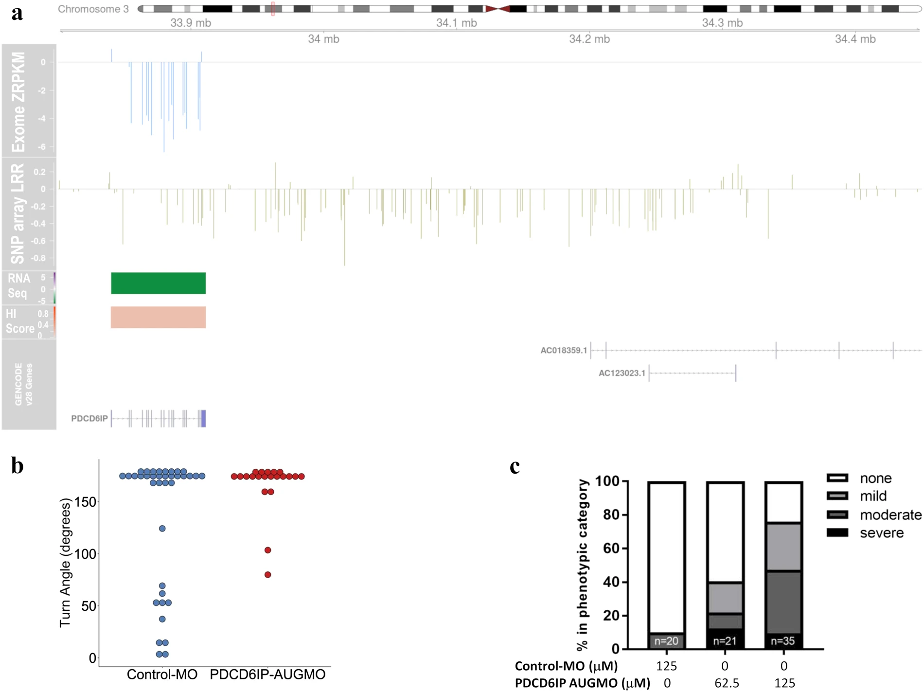 Pathogenic Copy Number Variants That Affect Gene Expression Contribute To Genomic Burden In Cerebral Palsy Researcher An App For Academics