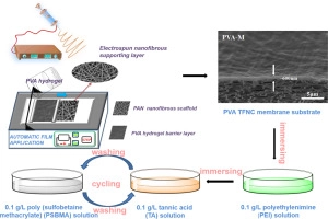 Constructing Zwitterionic Coatings On Thin Film Nanofibrous Composite Membrane Substrate For Multifunctionality Researcher An App For Academics