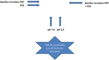 Effect of synbiotics on growth performance, gut health, and