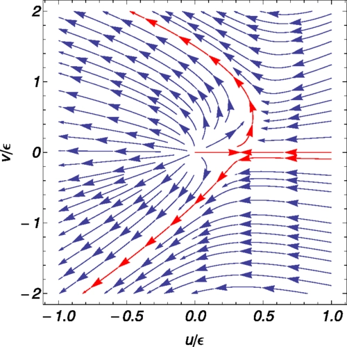 Critical phenomena at the complex tensor ordering phase transition -