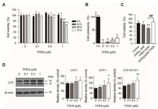 IJMS, Vol. 23, Pages 8811: Zinc Deficiency Induces Autophagy in HT-22 Mouse Hippocampal Neuronal Cell Line