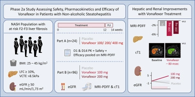 Hepatic and renal improvements with FXR agonist vonafexor in individuals with suspected fibrotic NASH