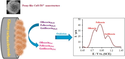 Synthesis of a dual-functional terbium doped copper oxide nanoflowers for high-efficiently electrochemical sensing of ofloxacin, pefloxacin and gatifloxacin