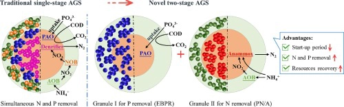 A novel two-stage aerobic granular sludge system for simultaneous nutrient removal from municipal wastewater with low C/N ratios