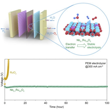 Eliminating over-oxidation of ruthenium oxides by niobium for highly stable electrocatalytic oxygen evolution in acidic media