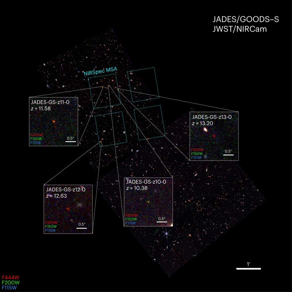 Identification and properties of intense star-forming galaxies at redshifts <i>z</i> > 10