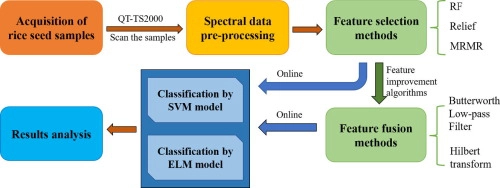 Application of Terahertz Spectroscopy Combined with Feature Improvement Algorithm for the Identification of Adulterated Rice Seeds