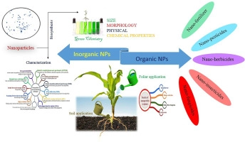 Biosynthesis and characterization of nanoparticles, its advantages, various aspects and risk assessment to maintain the sustainable agriculture: Emerging technology in modern era science