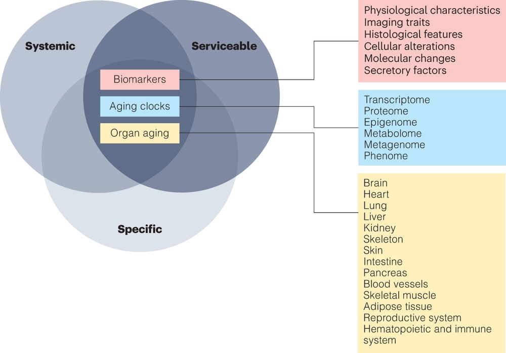 The Aging Biomarker Consortium represents a new era for aging research in China