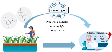 Triazine herbicides exposure, natural immunoglobulin M antibodies, and fasting plasma glucose changes: Association and mediation analyses in general Chinese urban adults