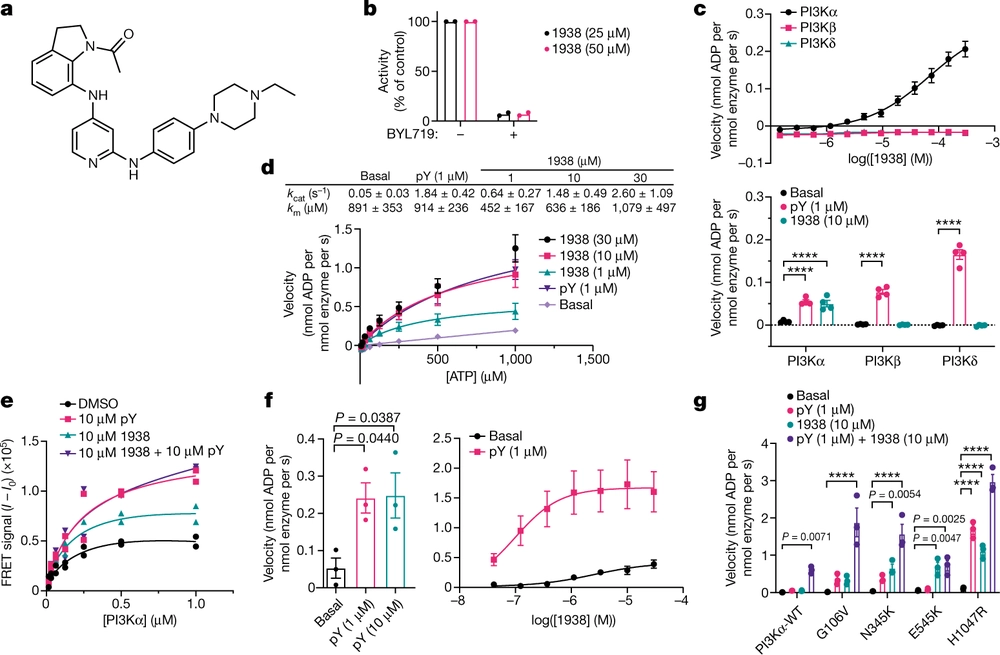 A small-molecule PI3Kα activator for cardioprotection and neuroregeneration