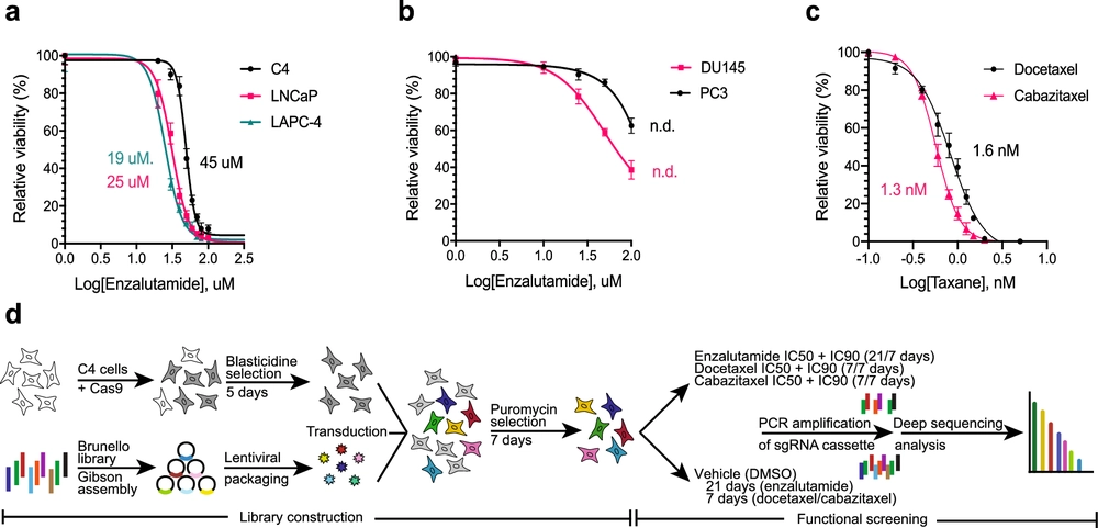 Investigation of enzalutamide, docetaxel, and cabazitaxel resistance in the castration resistant prostate cancer cell line C4 using genome-wide CRISPR/Cas9 screening