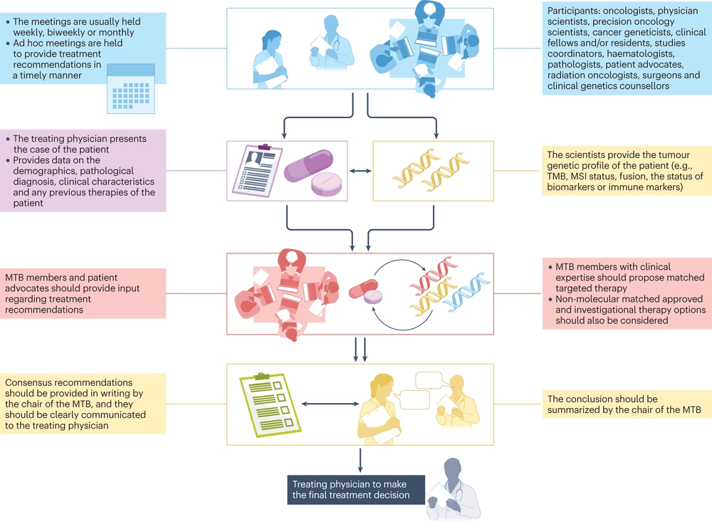 Molecular tumour boards — current and future considerations for precision oncology