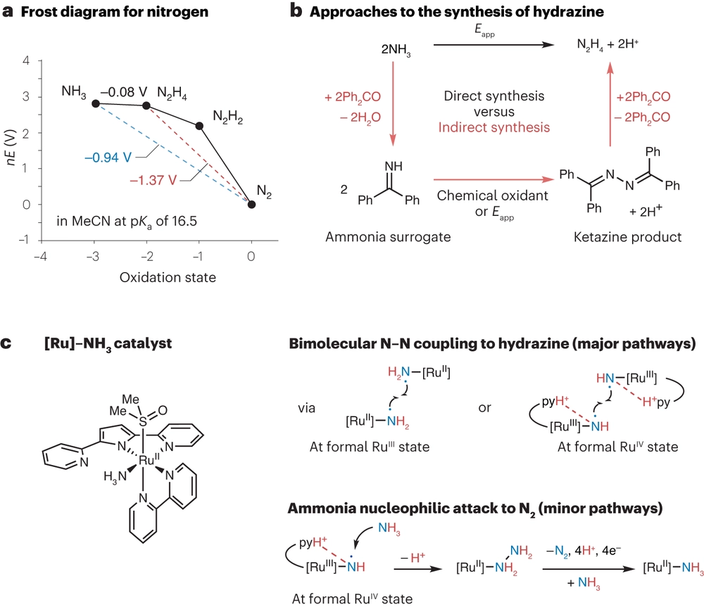 Defying thermodynamics to synthetize hydrazine