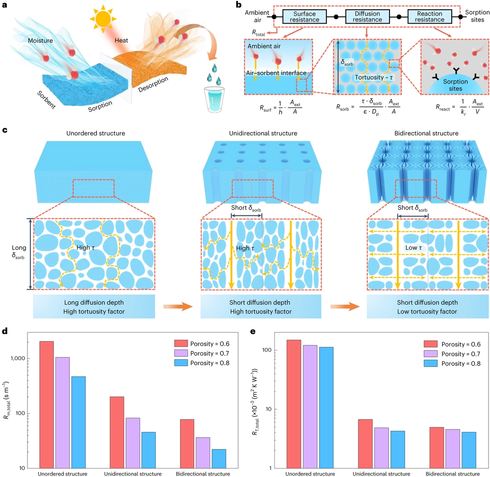 Scalable and efficient solar-driven atmospheric water harvesting enabled by bidirectionally aligned and hierarchically structured nanocomposites