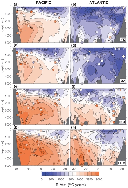 Rejuvenating the ocean: mean ocean radiocarbon, CO2 release, and radiocarbon budget closure across the last deglaciation