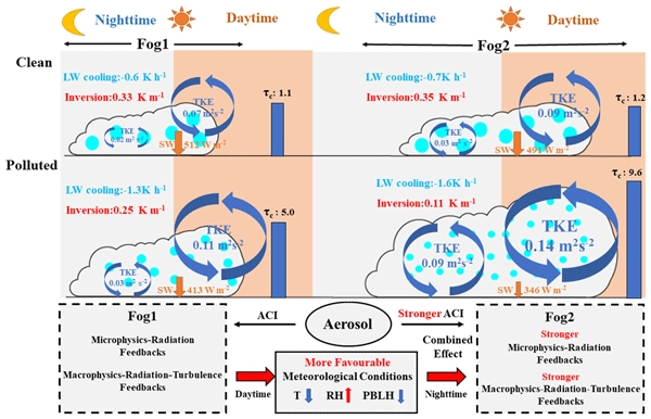 Radiation fog properties in two consecutive events under polluted and clean conditions in the Yangtze River Delta, China: a simulation study