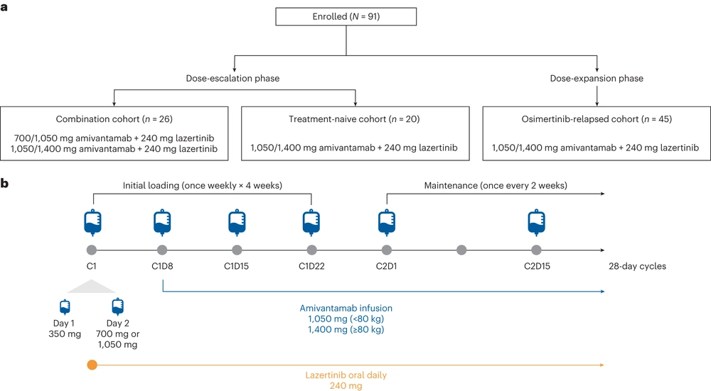 Amivantamab plus lazertinib in osimertinib-relapsed <i>EGFR</i>-mutant advanced non-small cell lung cancer: a phase 1 trial