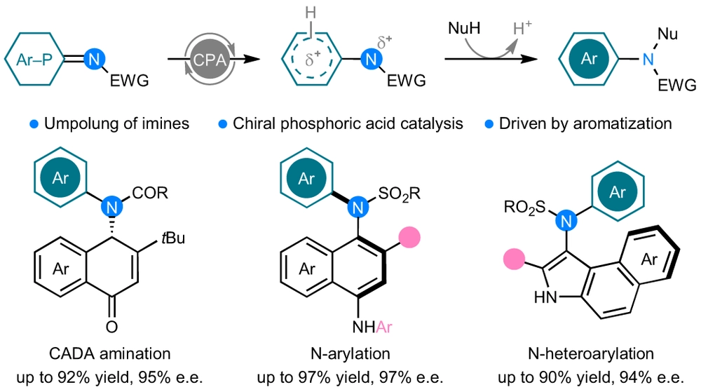 Organocatalytic aromatization-promoted umpolung reaction of imines