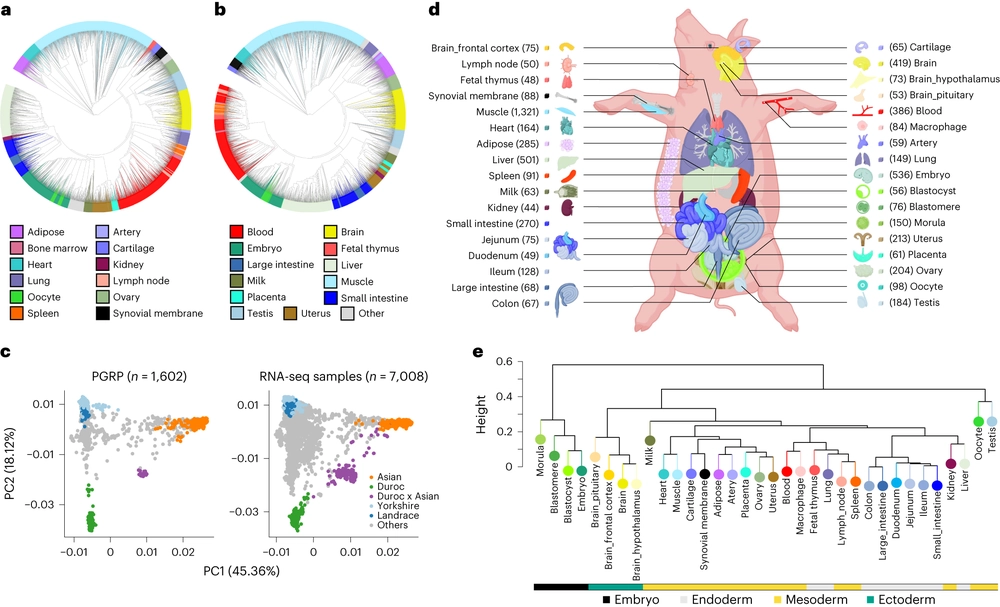 A compendium of genetic regulatory effects across pig tissues