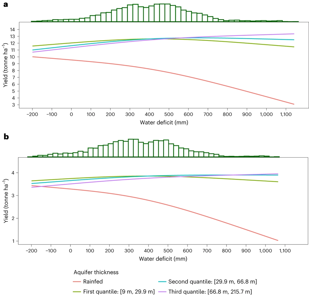 Aquifer depletion exacerbates agricultural drought losses in the US High Plains