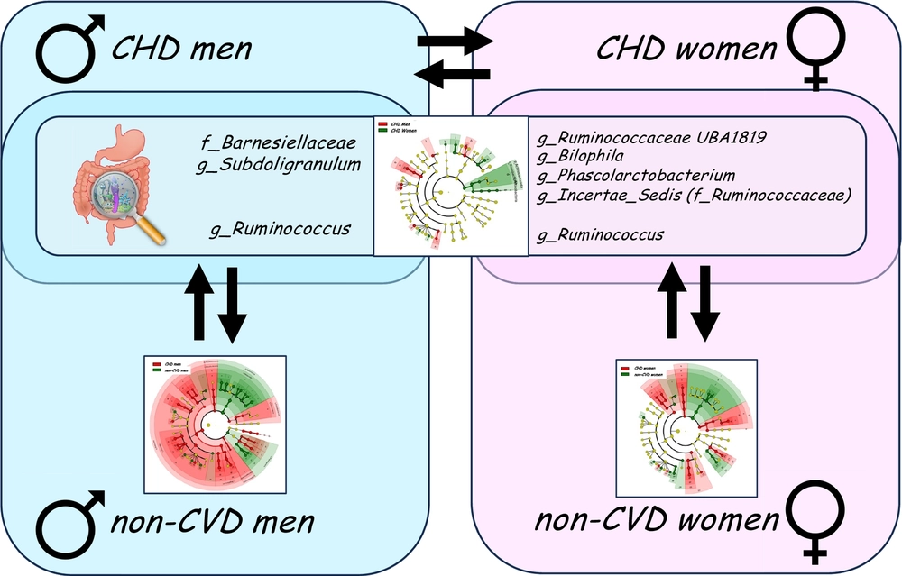 Sex Specific Differences In Intestinal Microbiota Associated With Ca