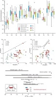 Gold source and deposition in the Sanakham gold deposit, SW Laos: Constrains from textures, trace element geochemistry and in-situ sulfur isotopes of pyrite