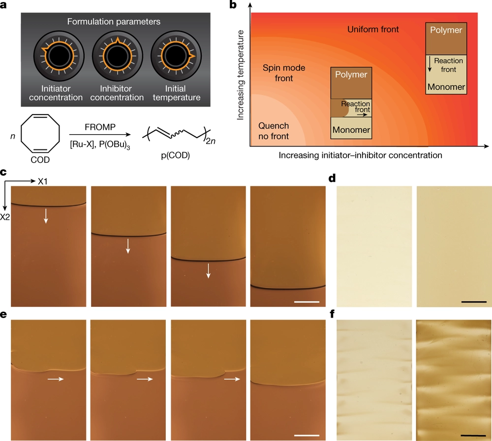 Controlled patterning of crystalline domains by frontal polymerization