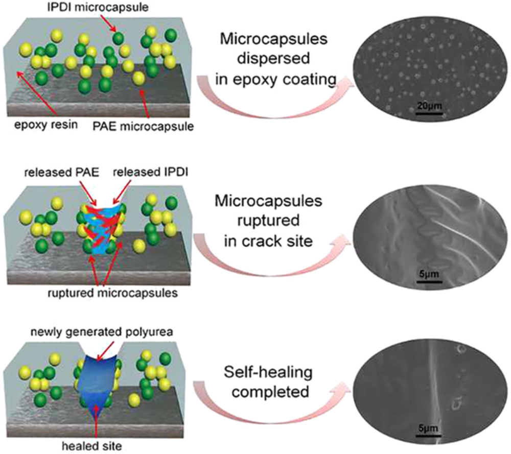 Microencapsulation of oil soluble polyaspartic acid ester and isophorone diisocyanate and their application in self‐healing anticorrosive epoxy resin