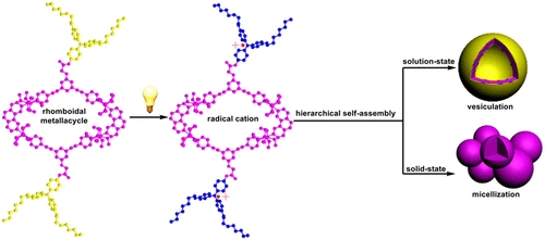 Asap Radical Induced Hierarchical Self Assembly Involving Supramolecular Coordination Complexes In Both Solution And Solid States Researcher An App For Academics