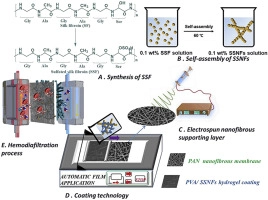 Biomimetic Sulfated Silk Nanofibrils For Constructing Rapid Mid Molecule Toxins Removal Nanochannels Researcher An App For Academics