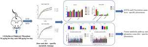 Perinatal exposure to 2-Ethylhexyl Diphenyl Phosphate (EHDPHP) affected the metabolic homeostasis of male mouse offspring: unexpected findings help to explain dose- and diet- specific phenomena