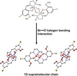 Exploration Of Br O Halogen Bonding Interactions In Dinuclear Vanadium V Complexes With Schiff Base Ligands Researcher An App For Academics