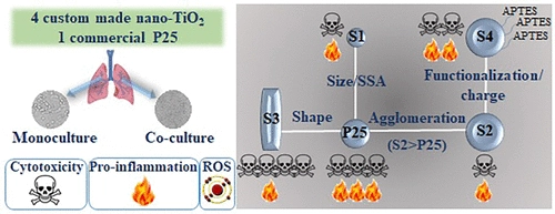 Titanium Dioxide (TiO2) P25, Nanoparticles