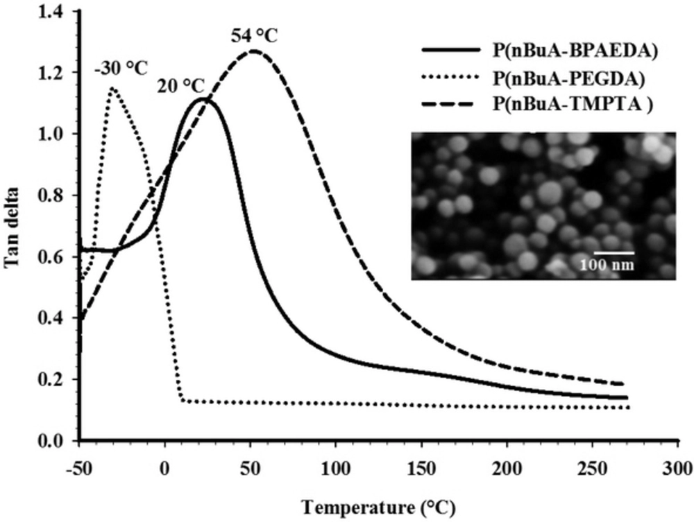 Properties of butyl acrylate polymers synthesized by radiation and miniemulsion polymerization techniques as flexible coating for packaging materials