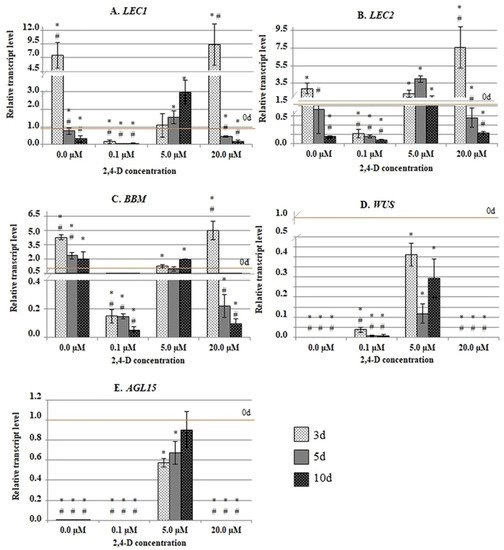 IJMS, Vol. 21, Pages 6849: Hypermethylation of Auxin-Responsive Motifs in the Promoters of the Transcription Factor Genes Accompanies the Somatic Embryogenesis Induction in Arabidopsis