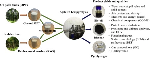 Characteristics of pyrolysis products from pyrolysis and co-pyrolysis of rubber wood and oil palm trunk biomass for biofuel and value-added applications